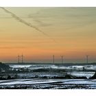 Windräder im Abendlicht