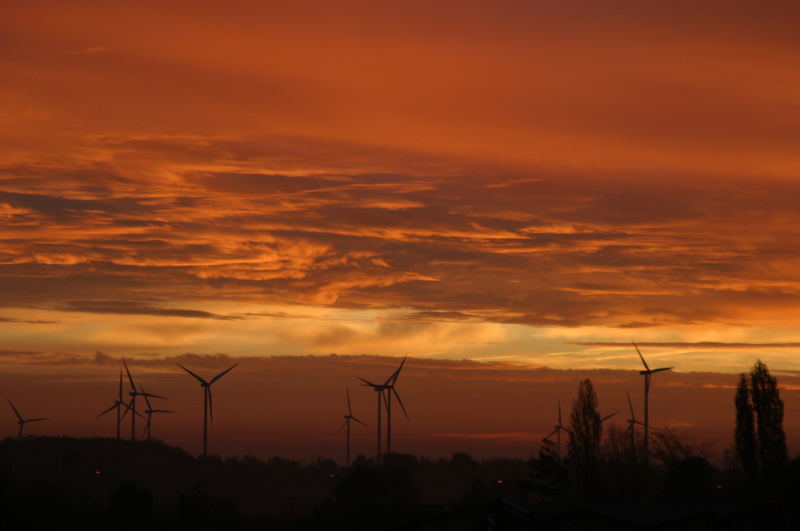 Windräder im Abendrot,