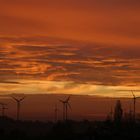 Windräder im Abendrot,