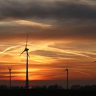 Windräder im Abendrot