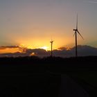 Windräder im Gegenlicht