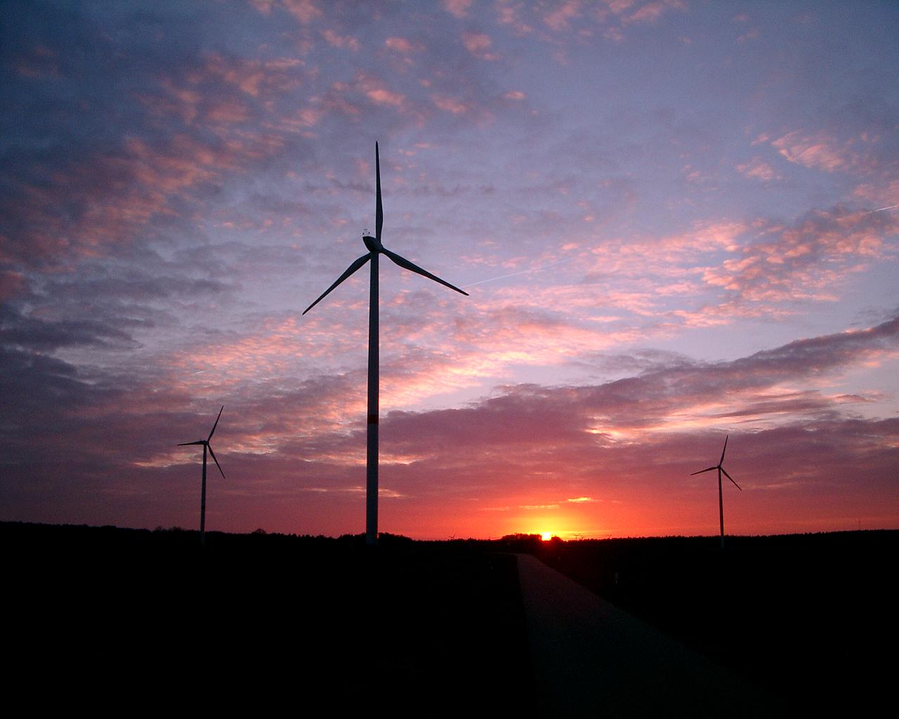 Windräder im Licht der untergehenden Sonne