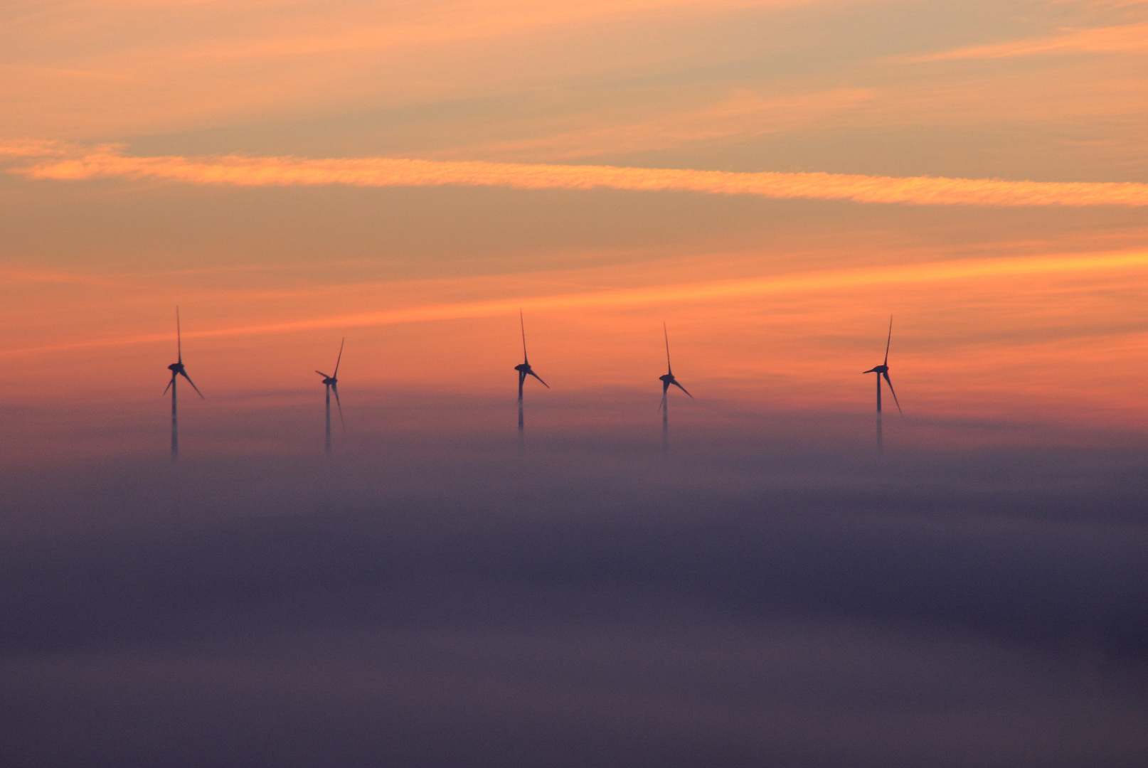 Windräder im Morgennebel