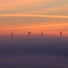 Windräder im Morgennebel