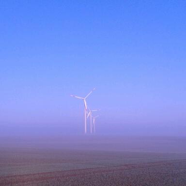 Windräder im Morgennebel