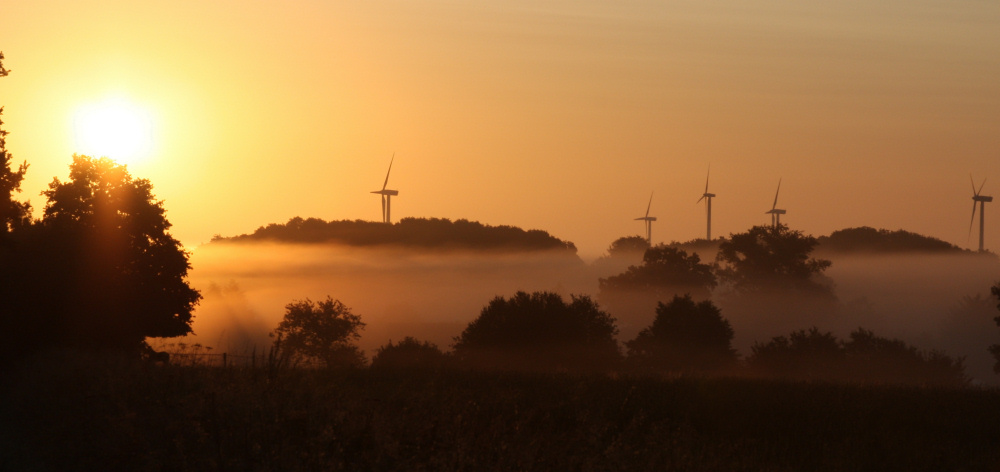 Windräder im Nebel bei Sonnenaufgang