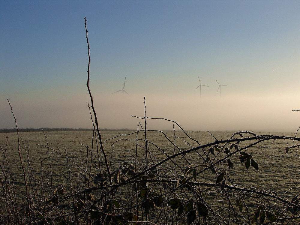 Windräder im Nebel..............