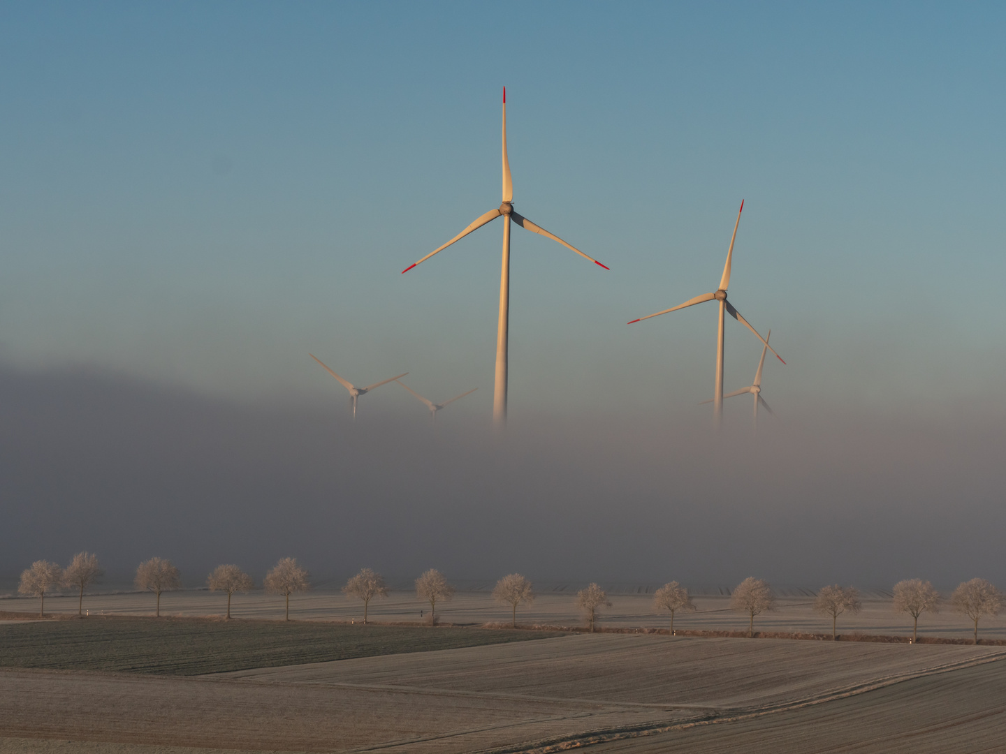 Windräder im Nebel