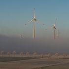 Windräder im Nebel