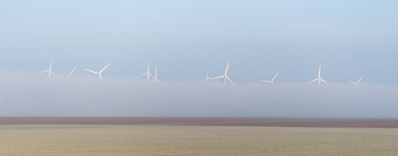 Windräder im Nebel