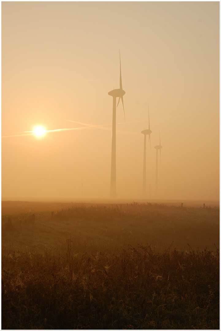 Windräder im Niederrheinischen Altweibersommermorgengrauen