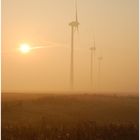 Windräder im Niederrheinischen Altweibersommermorgengrauen