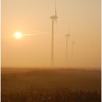 Windräder im Niederrheinischen Altweibersommermorgengrauen