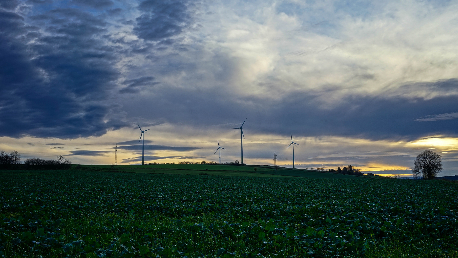 Windräder im Solling