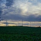 Windräder im Solling