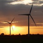 Windräder im Sonnenaufgang