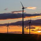 Windräder im Sonnenaufgang