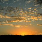 Windräder im Sonnenlicht - Fuerteventura