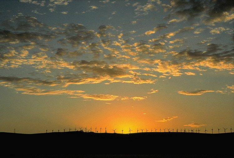 Windräder im Sonnenlicht - Fuerteventura