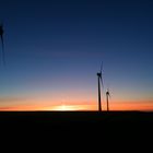 Windräder im Sonnenuntergang