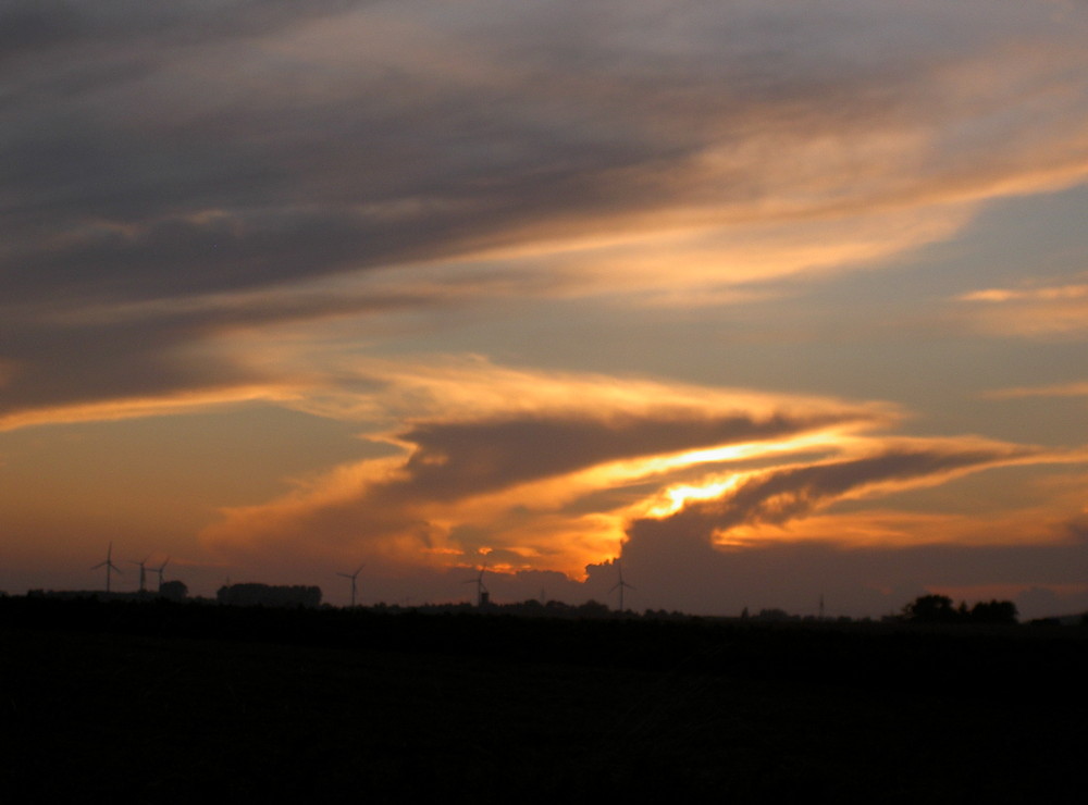 Windräder im Sonnenuntergang