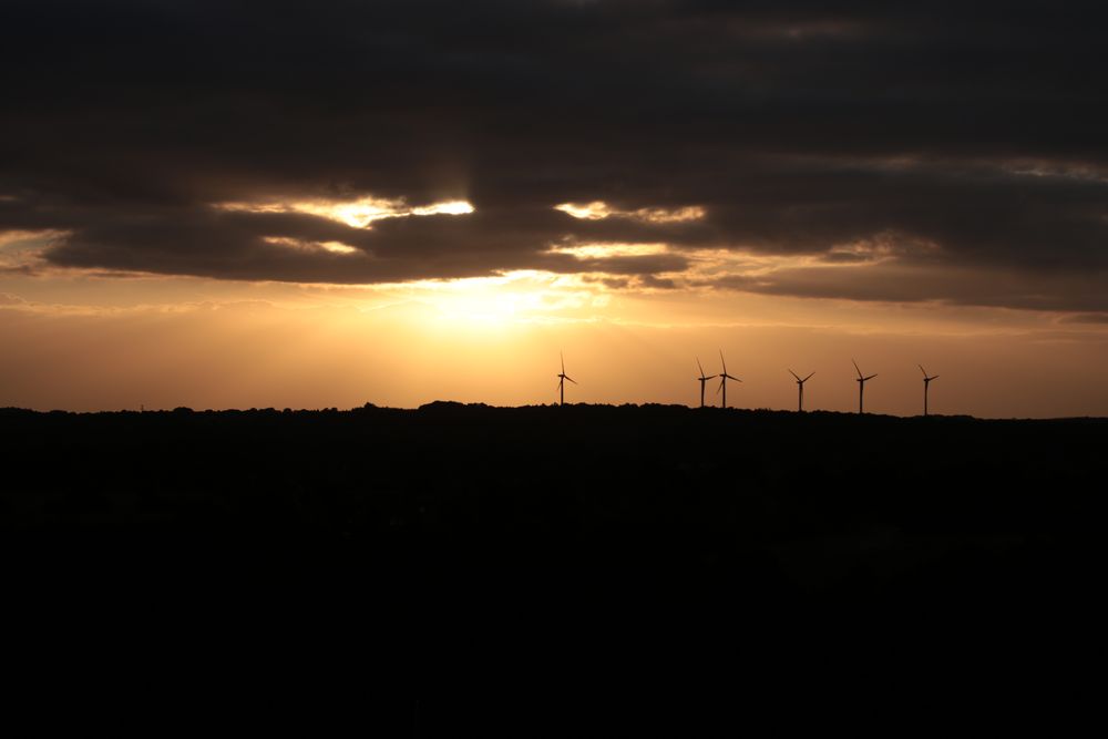 Windräder im Sonnenuntergang