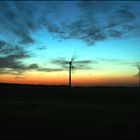 Windräder im Sonnenuntergang