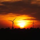 Windräder im Sonnenuntergang