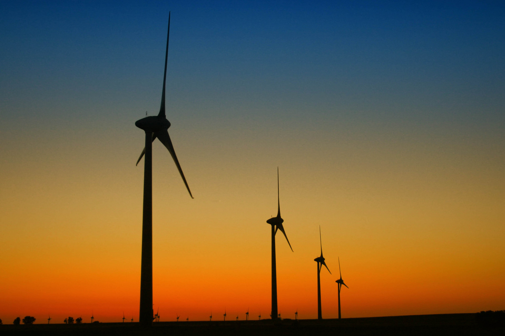 Windräder im Sonnenuntergang