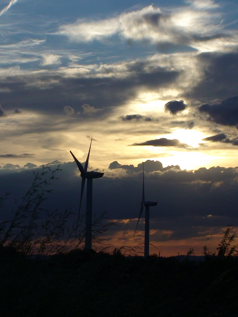 Windräder im Sonnenuntergang