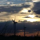 Windräder im Sonnenuntergang