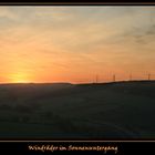 Windräder im Sonnenuntergang