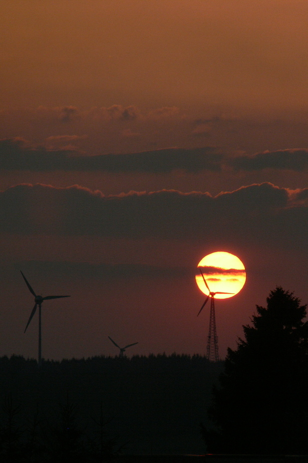 Windräder im Sonnenuntergang