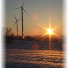 Windräder im Sonnenuntergang