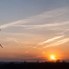 Windräder im Sonnenuntergang