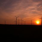 Windräder im Sonnenuntergang