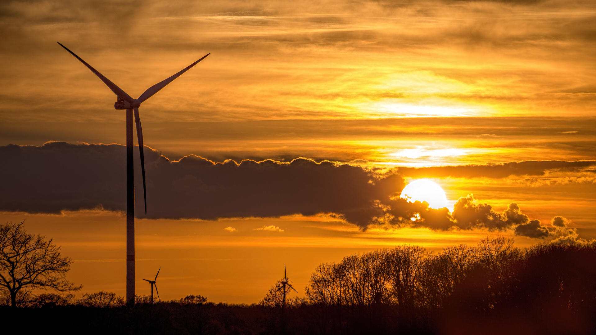 Windräder im Sonnenuntergang