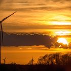 Windräder im Sonnenuntergang