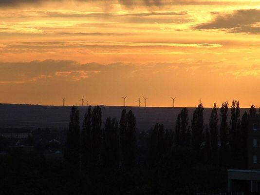 Windräder im Sonnenuntergang