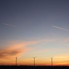 Windräder im Sonnenuntergang