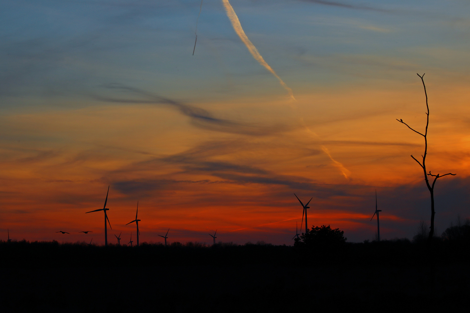 Windräder in blauer Stunde Sonnenuntergang