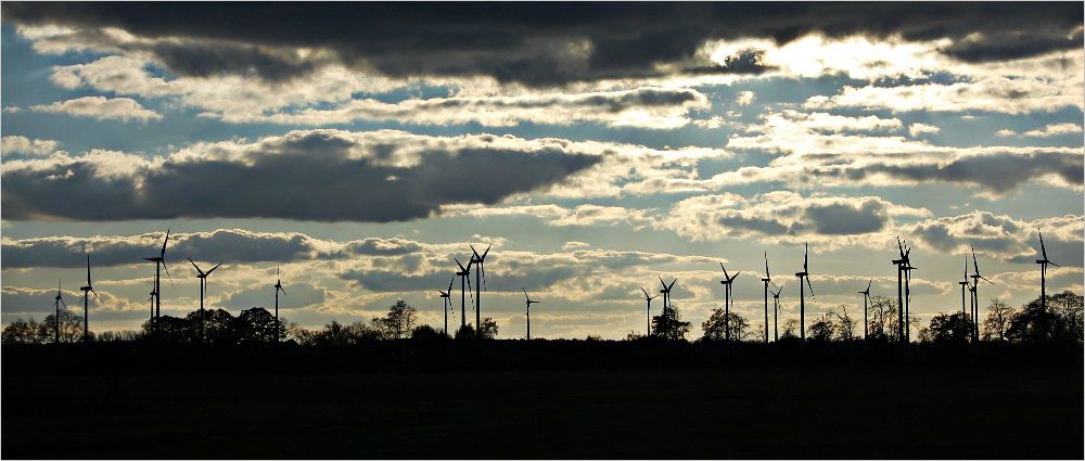 Windräder in Brandenburg