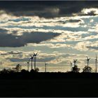 Windräder in Brandenburg