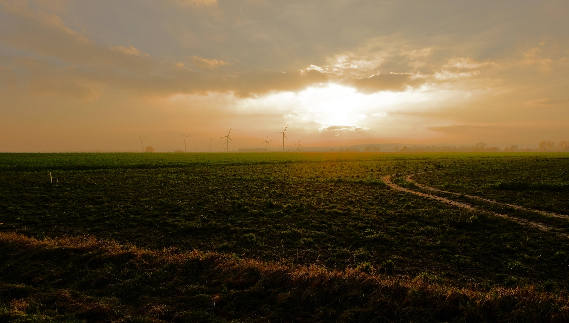 Windräder in der Abendsonne