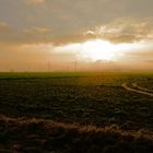 Windräder in der Abendsonne