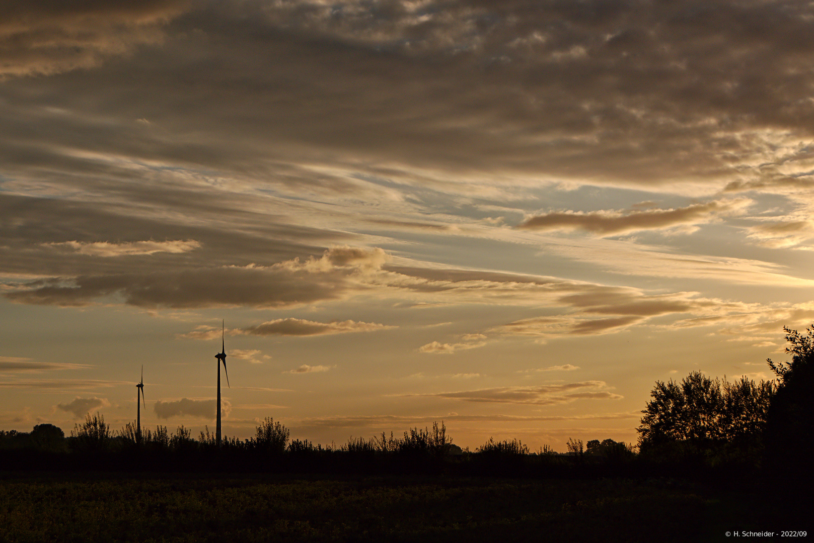 Windräder in der Abendsonne