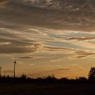 Windräder in der Abendsonne