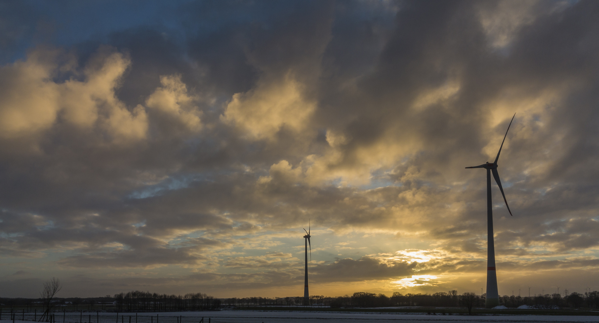 Windräder in der Abendsonne