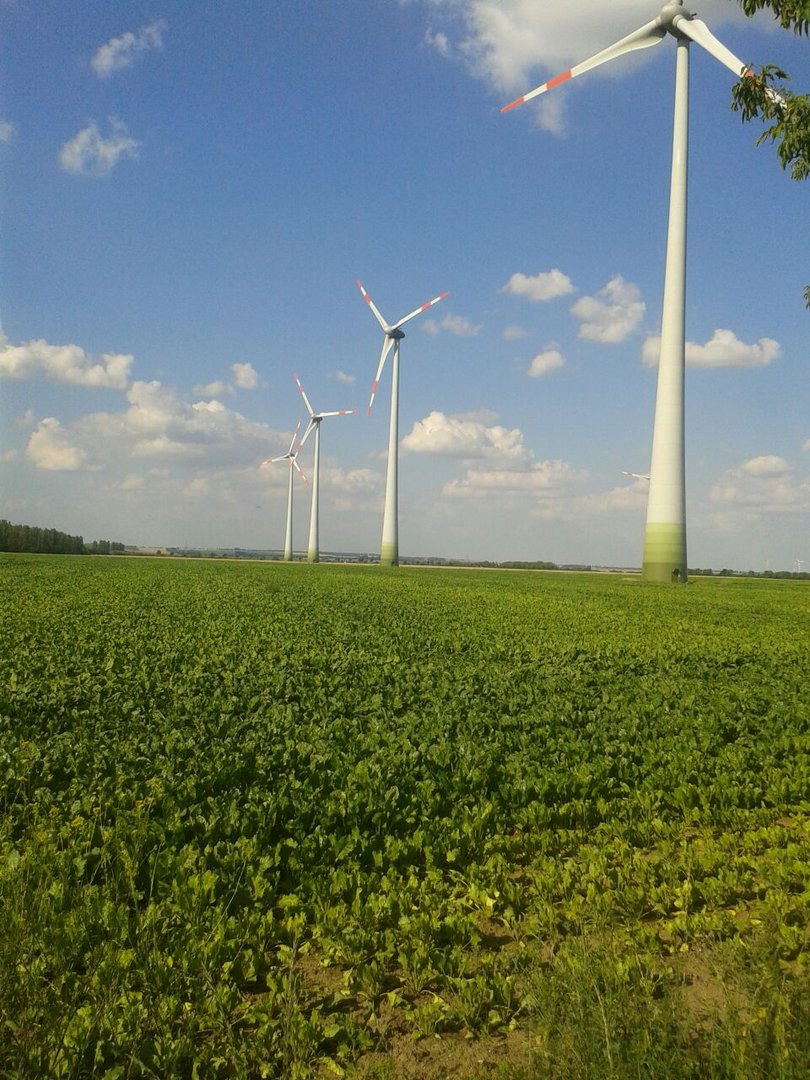 Windräder in der Feldflur Aschersleben