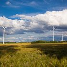 Windräder in der Wetterau